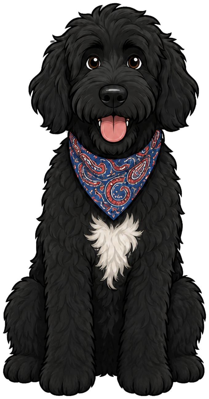 River, a black Labradoodle in a paisley bandana